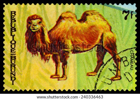 BURUNDI - CIRCA 1970 : A stamp printed by Burundi shows Animals Burundi, camel Chamenau, map Burundi, circa 1970.