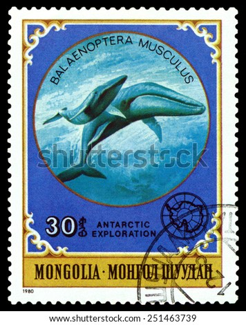 MONGOLIA - CIRCA 1980: a stamp printed by Mongolia  shows  Giant blue Whale,  Antarctic Animals and exploration,  circa 1980