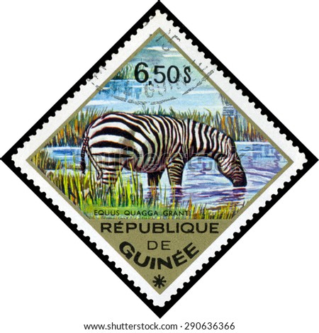 REPUBLIQUE DE GUINEE - CIRCA 1976: a stamp printed by Republique de Guinee shows  Zebra to Africa, series animals, Africa, circa 1976