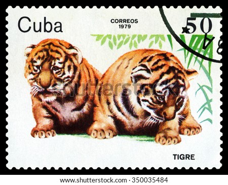 CUBA- CIRCA 1979: A stamp printed in , shows Tiger cubs, Zoo Animals, circa 1979