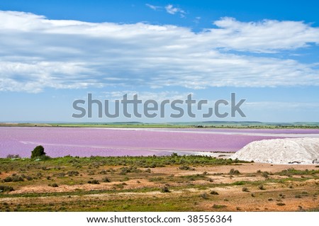 Landscape with a pink salt-marsh and a salt dune