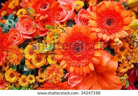 orange flowers filling th entire picture