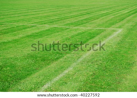 green football pitch with white lines and a parallel pattern