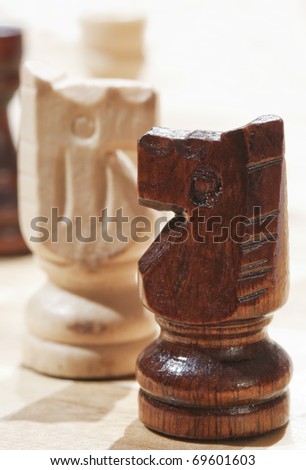 Macro shot of chess man, horse