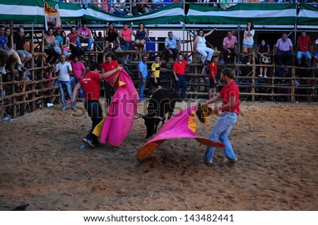 SAN JUAN, HUELVA, SPAIN - JUNE 23: The festival of St. John the Baptist's. Running of the Bulls of San Juan is the most popular celebration in Andalusia on June 23, 2013 in San Juan, Huelva, Spain
