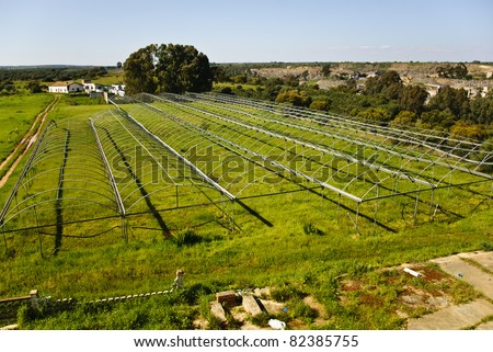 A view of an old and abandoned greenhouse  outside of Huelva in Andalusia, Spain