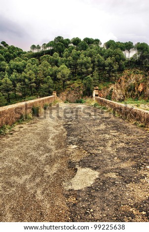 old road, stone bridge in the Andalusia, Spain