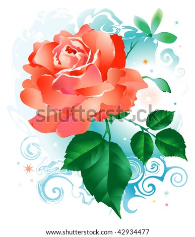 Rose flower rose beautiful for postcard and greetings