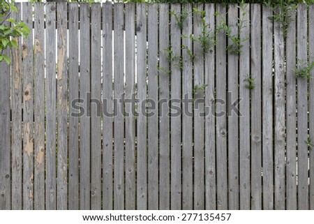 Unpainted weathered wood planks make a nice old garden fence