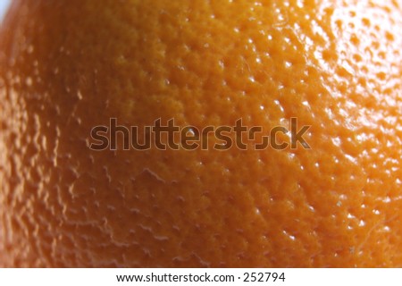 Skin of an orange