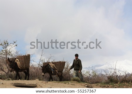 ISHKASHIM, AFGHANISTAN - MAY 28: Subsistence farmer herds the donkeys that are the main source of transport in his region on 28th May 2010 in Ishkashim, Afghanistan