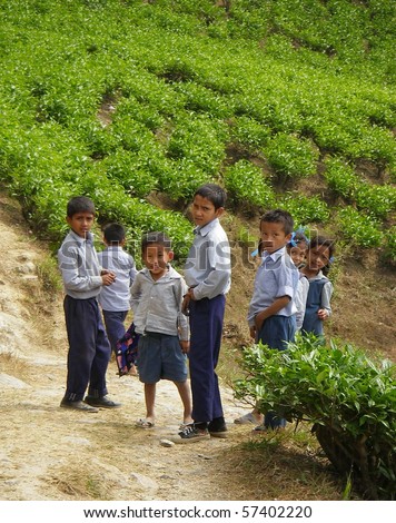 DARJEELING, INDIA - APRIL 20: School children on a tea estate on April 20, 2010 in Darjeeling, India. In the absence of proper state education, the estate management provides primary teachers.