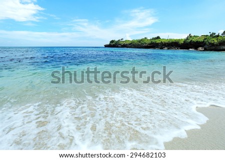 portrait of beautiful beach with clear water and clear skies