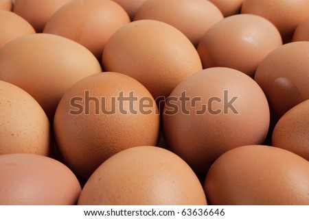 chicken egg pattern