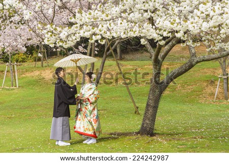 Kyoto, Japan - April 02, 2014: Couple standing in a garden under the cherry blossom (Sakura ) trees in Kyoto, Japan. The Japanese Sakura trees attract thousands of visitors each spring.