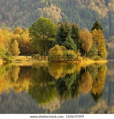 colorful autumn trees - square background