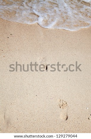 Footsteps on the sand of the beach