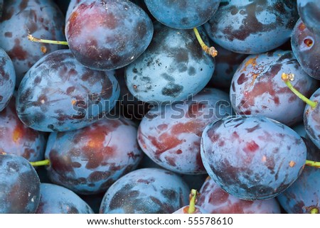 close up a group of plums