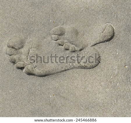 Togetherness Child and Parent Foot Print in Sand at the Beach