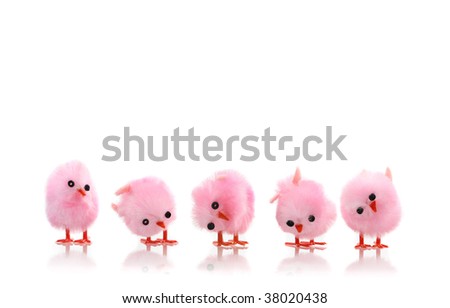 Pink Baby Chicks