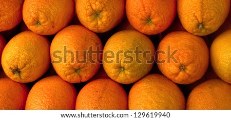 still life, commerce, fruits, late autumn, large ripe oranges bright orange color with a thick juicy crust posted in the sale, even rows