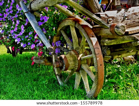 nature, the village, the old, abandoned cart, overgrown with flowers, petunias
