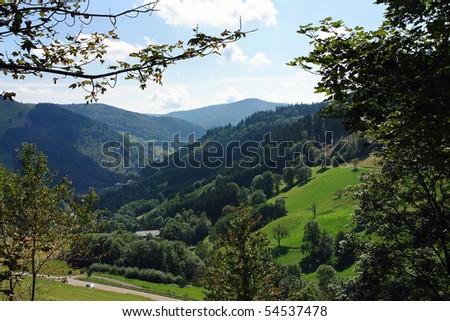 The Alpine landscape-slopes, covered by a dense wood