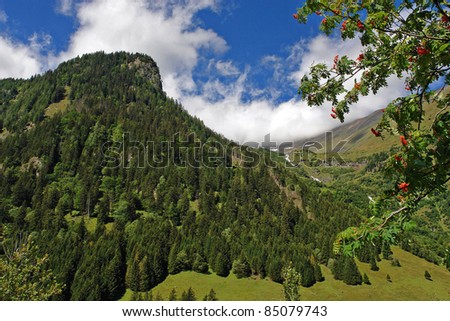 The Alpes. A landscape. A branch of a mountain ash on a background of majestic mountains.