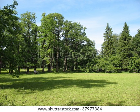 Park in Gatchina, St. Petersburg suburb