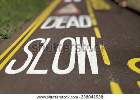 Traffic Calming Measures Painted on Road