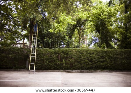 Man on ladder fixing cables