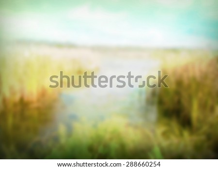 northern swamp landscape blurred out of focus image with mist and bright soft lighting vintage filter effect.