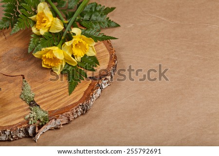 poster of narcissus with fern on cut down of tree on craft paper