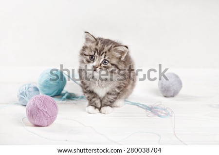 pretty kitten playing with yarn ball on light background