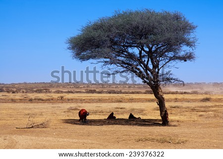 Africa Savanna landscape