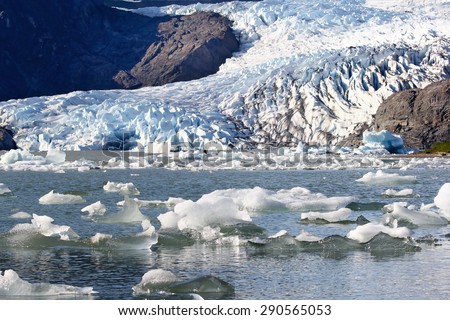 Mendenhall Glacier in Alaska, USA (manual focus on the floating ice blocks in the foreground)