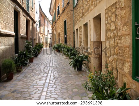 Narrow back street with green plants along the both sides of houses
