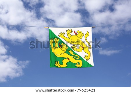 Swiss Canton Flag Series: Thurgau, the two running lions are in green and white color background, the green symbolizes freedom, the white stands for innocence.