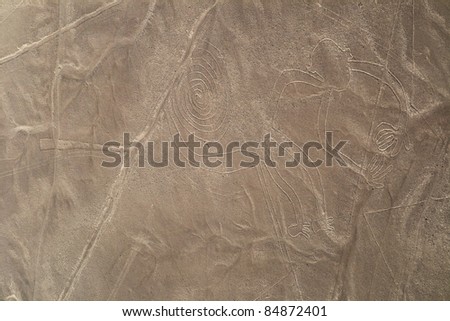 Nazca lines, Peru - Monkey