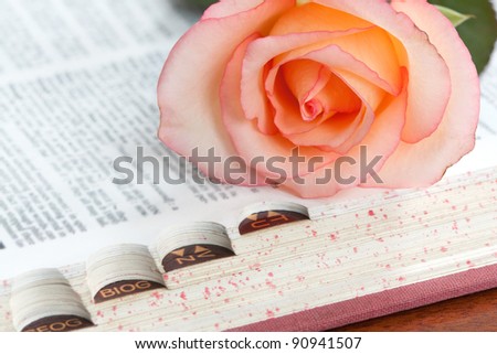 A pink rose on the index edge of a dictionary (see also ID68740681)