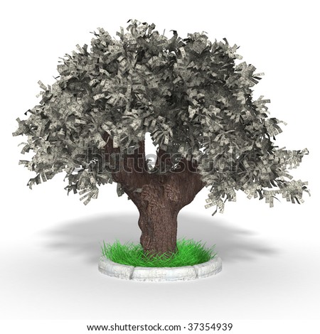 money tree pounds. photo : A real money tree!