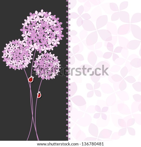 Springtime Purple Pink Hydrangea Flower Greeting Card on Colorful Background