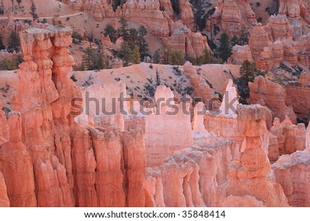 Bryce Canyon - Morning Shine 12