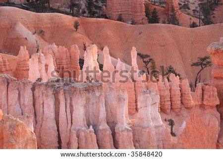Bryce Canyon - Morning Shine 10
