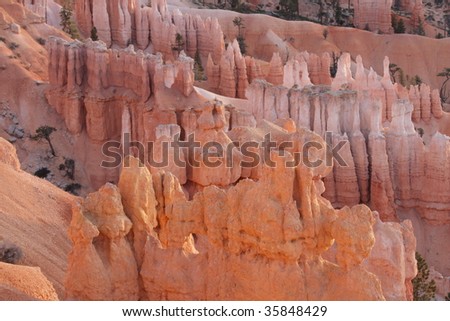 Bryce Canyon - Morning Shine 16