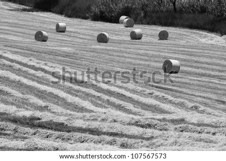 Italy, Sicily, Catania province, countryside, harvested hay field