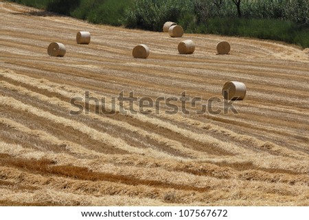 Italy, Sicily, Catania province, countryside, harvested hay field