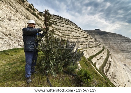 Italy, Maddaloni (Naples), cement factory, stone pit hill, ecological green replanting