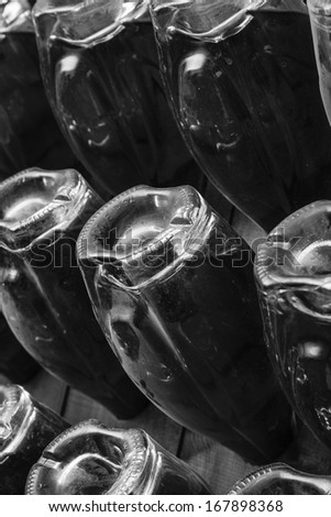 Italy, Sicily, champagne bottles aging in a wine cellar