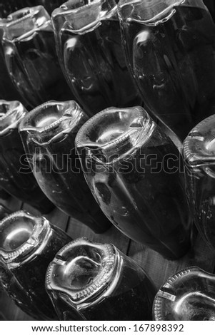 Italy, Sicily, champagne bottles aging in a wine cellar